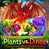 DRAGOONSOFT